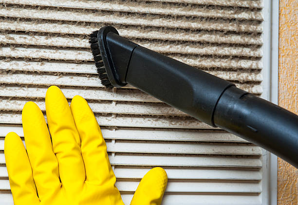 Best Air Vent Cleaning Services  in Beech Grove, IN